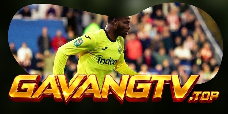 Phân tích phong độ Brentford vs Liverpool qua khả năng chịu sức ép và phản ứng