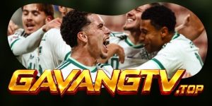 Dự Đoán Trận Brentford Vs Liverpool 21h00 17/10